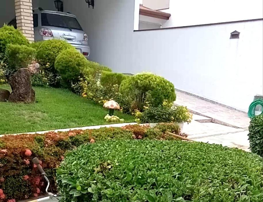 Jardim residencial com arbustos podados e gramado